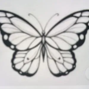 Tenir compagnie à la personne, faire les courses 