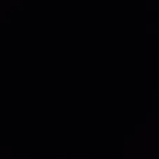 Pet-Sitter pour veiller sur vos être cher 