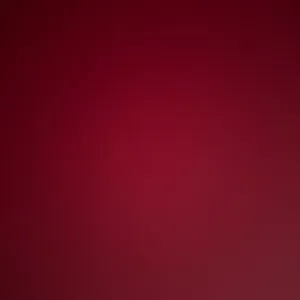 Femme de ménage en début mais très perfectionniste 