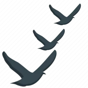 Cherche nounou pour 2 enfants ~23H/semaine