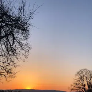 Le paradis pour votre toutou durant votre absence!