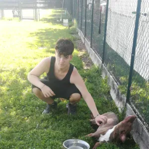 Dog sitter Cinisello e dintorni 