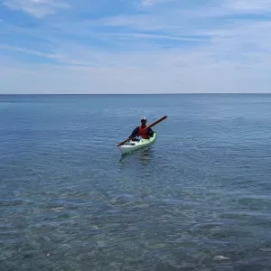 Pensione a casa per cani nel weekend e festivi 