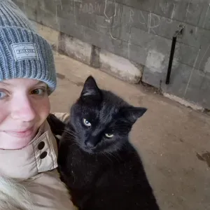 Kæledyrspasning for alle dyr - også reptiler