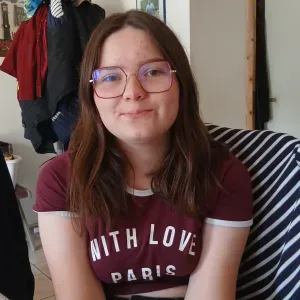 Je recherche un professeur de français 