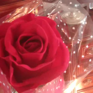 عاملة نضافة مسؤولة في إسبانيا طوليدو مورا