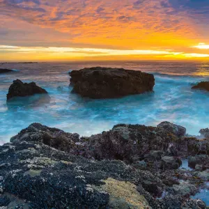 Domestica para Vivenda 5 dias por semana.