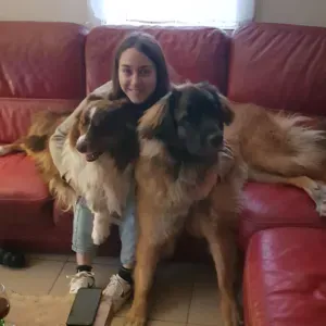 Amie des animaux près de la roche sur yon. 