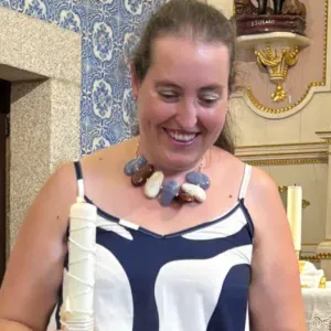  Empregada de limpeza responsável Valongo, Santo Tirso, Maia