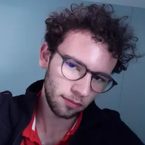 Femme (ou plutôt Homme) de ménage à Nantes