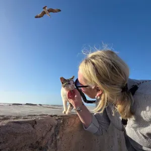 Votre pet-sitter de confiance 🥰