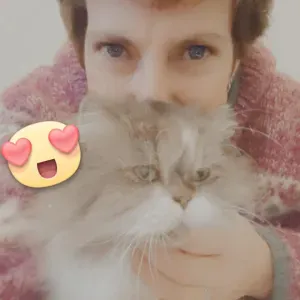 Ménage et petits travaux de jardinage