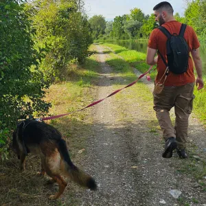 Pet Sitter a San Giuliano M.se e dintorni