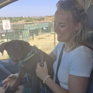 Experienced,responsible, happy Mom of 3 :) 