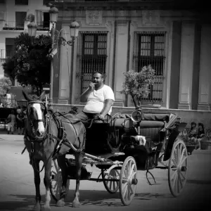 Emploi de femme de ménage Mèze