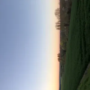 baby-sitter lycéenne disponible le week-end