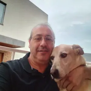 Ficar com a Athena , porte médio 