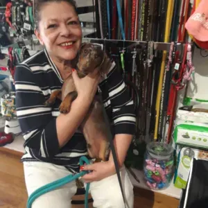 Petsitter chiens expérimentée. 