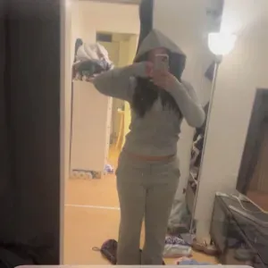 Petsitter job Aalborg