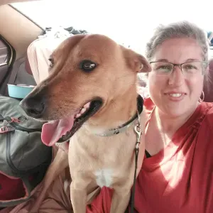 Je garde vos compagnons selon vos besoins :)