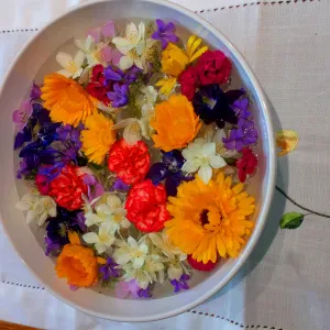 Aide Ménagère Expérimentée Disponible 