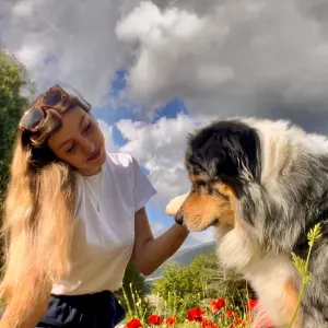 Pet situer sur le Pays basque ❤️🐾💚