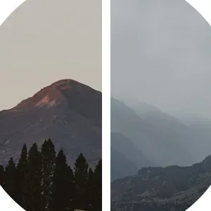 Helping keep your homes clean 