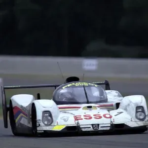 Je cherche un(e) petsitter près de chez moi