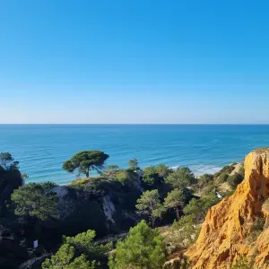 Recherche femme de menage et aide a domicile