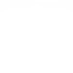 Pet sitter à La roche sur Yon 