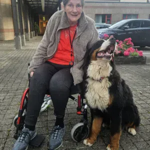 Hunde Pferde Esel Ziegen Betreung Besuche Pflegeheimen