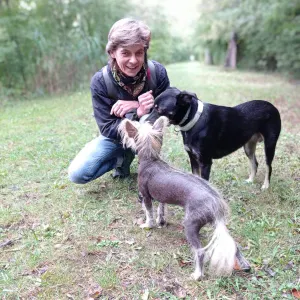 Besoin de confier votre chien, je suis disponible