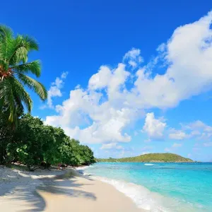 Vos boules de poils entre de bonnes mains !