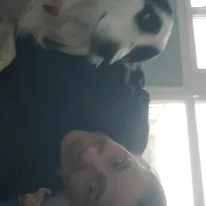 Pet siter frontignan je me déplace mais pas trop loin 