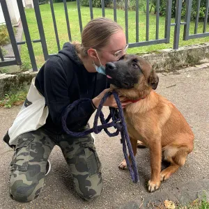 Une passion engagée au service du bien-être animal 