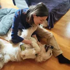 Promeneuse / garde de chiens