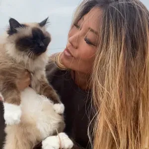 Pet -sitter passionné et spécialisé chats! 