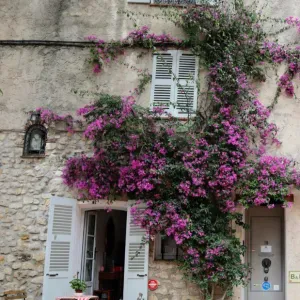 Looking for lady cleaner