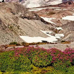 Baby-sitter montessori à Chambéry 