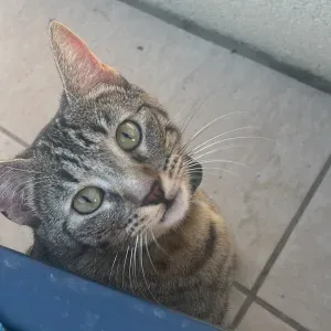 Recherche pour visite à domicile 