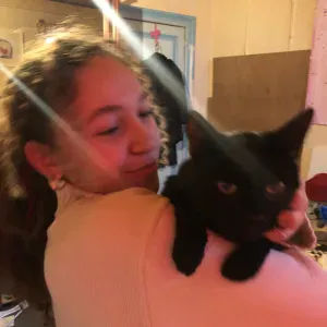 Experienced babysitter looking for a job! Very social.