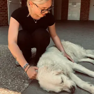 Pet-Sitter aux alentours d'arras