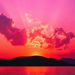 Je cherche un(e) aide ménagère près de chez moi