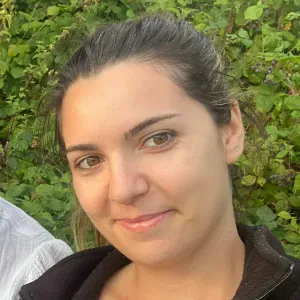 Procuro pessoa para passar roupa em São João da Madeira