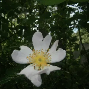 Garde d'enfant chez les particuliers