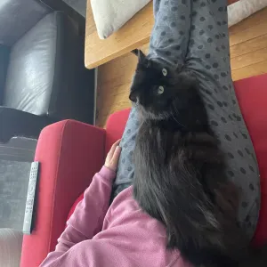 Assistante maternelle pour notre fils - 1 jour par semaine