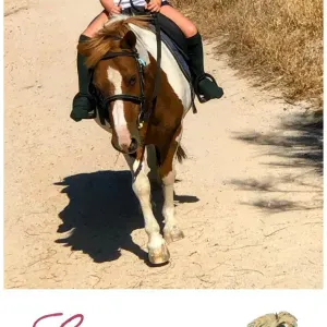 Busco empleada doméstica Las Rozas de Madrid