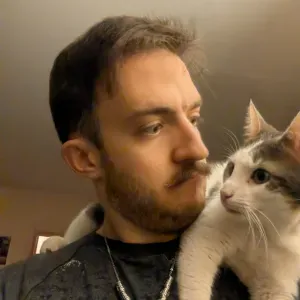 A la recherche de quelqu'un pour garder 2 chats