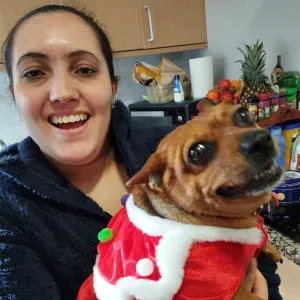 Pet Sitting em Guimarães e (centro e arredores)