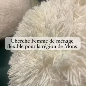 Je cherche une femme de ménage flexible. 